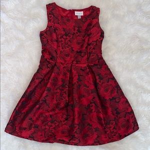 Girls Holiday Dress